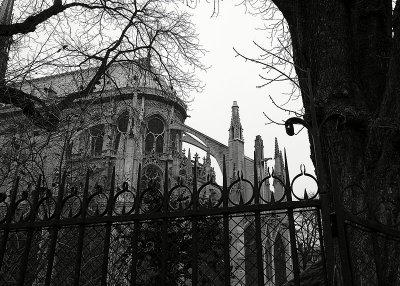 Notre Dame - Exterior 25