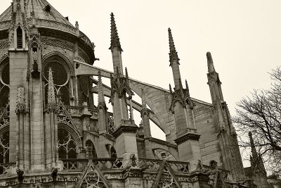 Notre Dame - Exterior 26