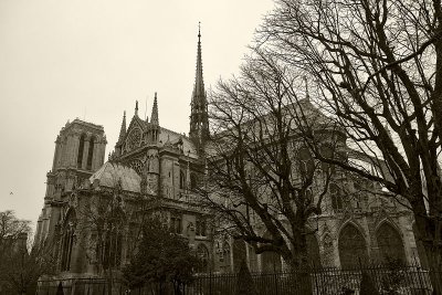 Notre Dame - Exterior 27