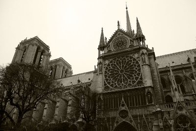 Notre Dame - Exterior 28
