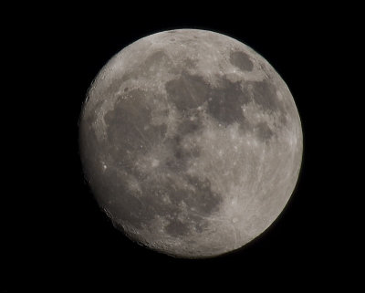May Moon