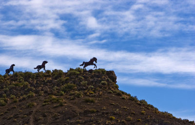 Wild Horse Monument detail