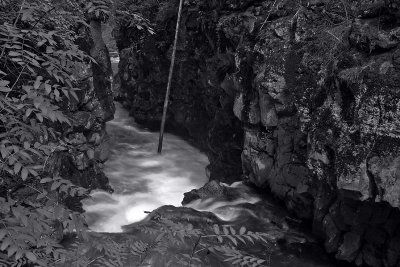 Rogue River Gorge 1