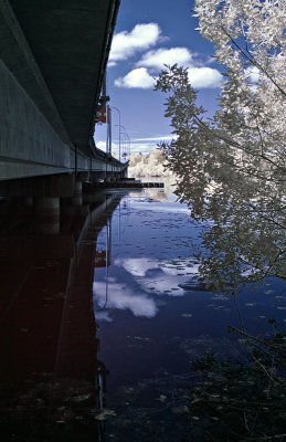 Arboretum IR 2