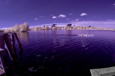 Arboretum IR 4