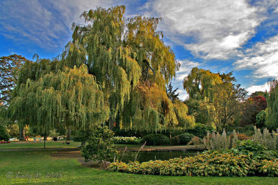 Beacon Hill Park 03.jpg