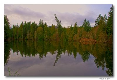 Lake reflections.