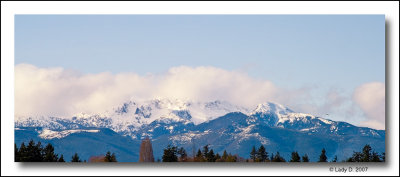 Mt Arrowsmith