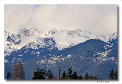 Mt Arrowsmith