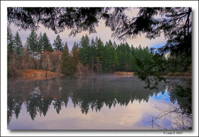 Pond Reflections