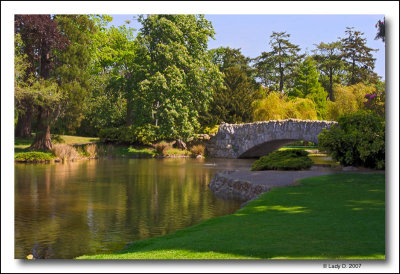 Beacon Hill Park