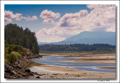 Nanaimo River Estuary