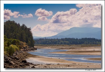 Nanaimo River Estuary