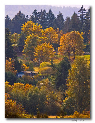 Cowichan Bay Autumn