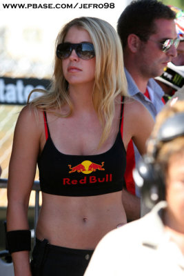 Red Bull babe