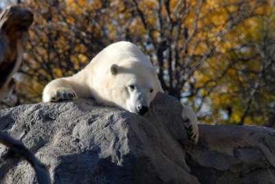 Rio Grande Zoo