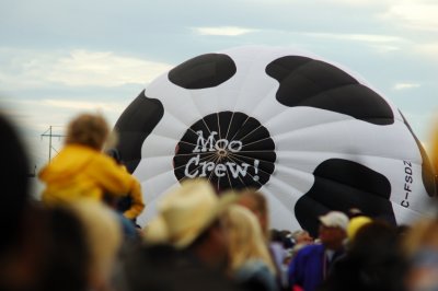 2006