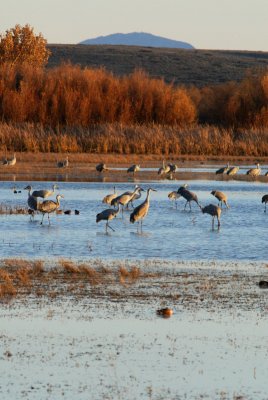 DSC_1883.jpg