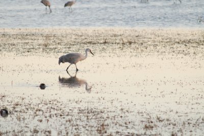 DSC_1920.jpg