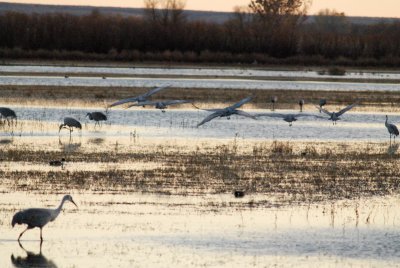 DSC_1936.jpg
