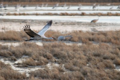 DSC_1945.jpg