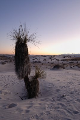 White Sands