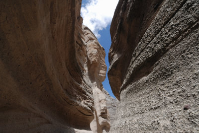 DSC_1207.jpg