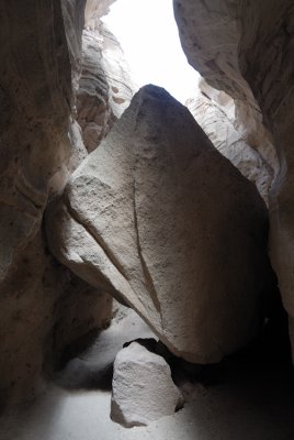 DSC_1209.jpg