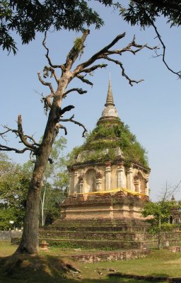 Thai Ruin3.jpg