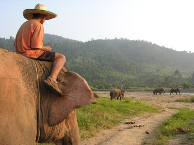 Elephant Nature Park