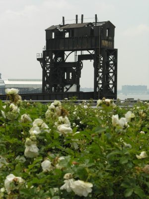 Rust&Flowers.jpg