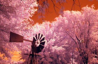 Windmill in Color IR