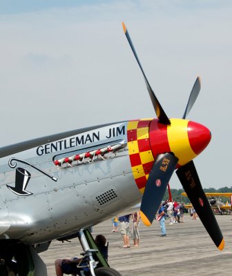 North American P-51D Mustand (N551J)