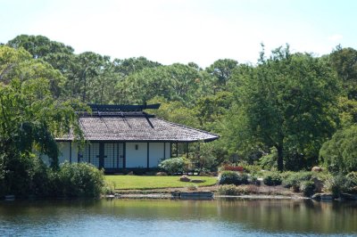 Japanese garden