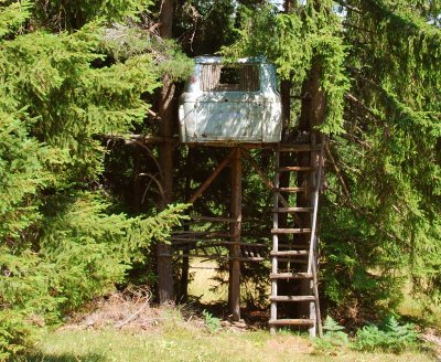 Hunter's cabin