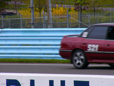 P1050709.jpg
