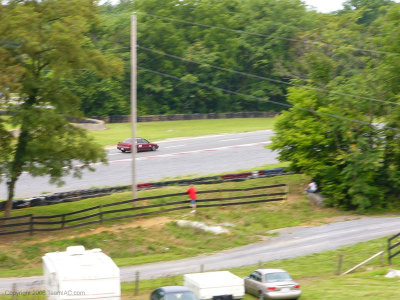 P1060078.jpg