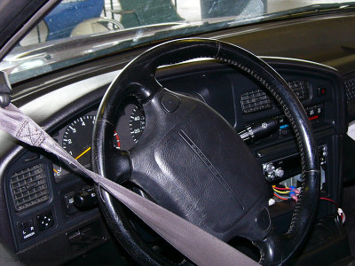 P1050264.jpg