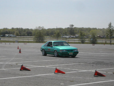 DSCN3556.jpg