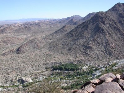guadalupeCanyon_view2.JPG