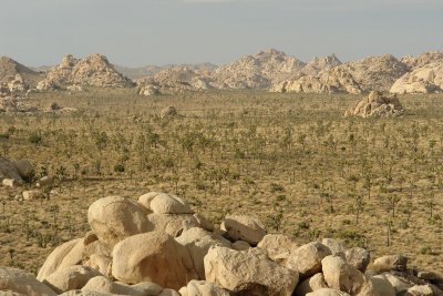 View from boulder.JPG