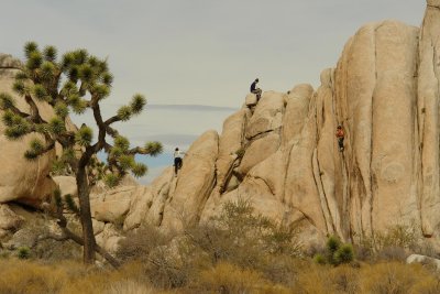 Favorites - Boulders - Joshua park