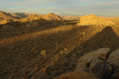 desert shadows in Joshua tree park.JPG