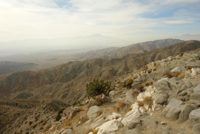 view on palm spring.JPG