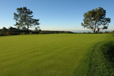 torrey pines golf course nov