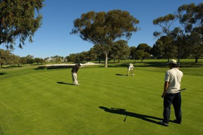 torrey pines golf course nov