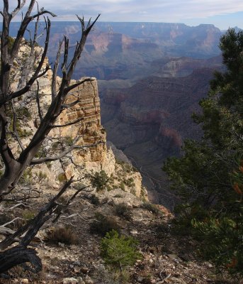 Favorites - Grand Canyon