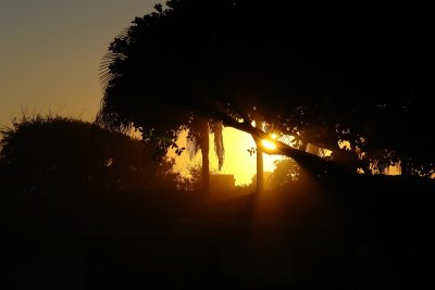 Favorites - La Jolla - San Diego