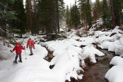 Favorites - snow shoes in King Canyon