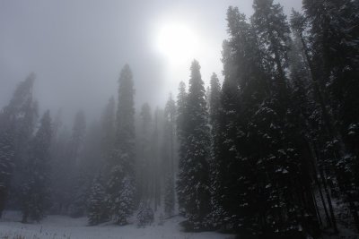 Favorites - King Canyon